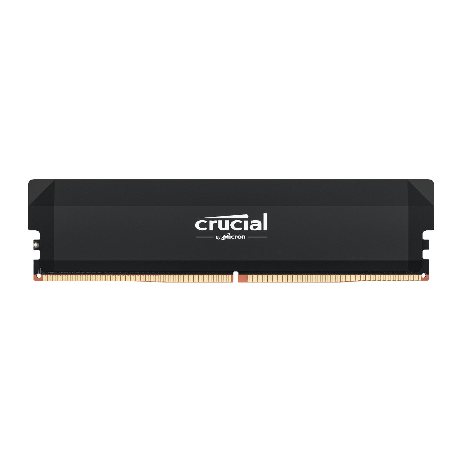 https://www.syntech.co.za/wp-content/uploads/2025/01/Crucial_CP16G64C38U5B_wr_02a.jpg