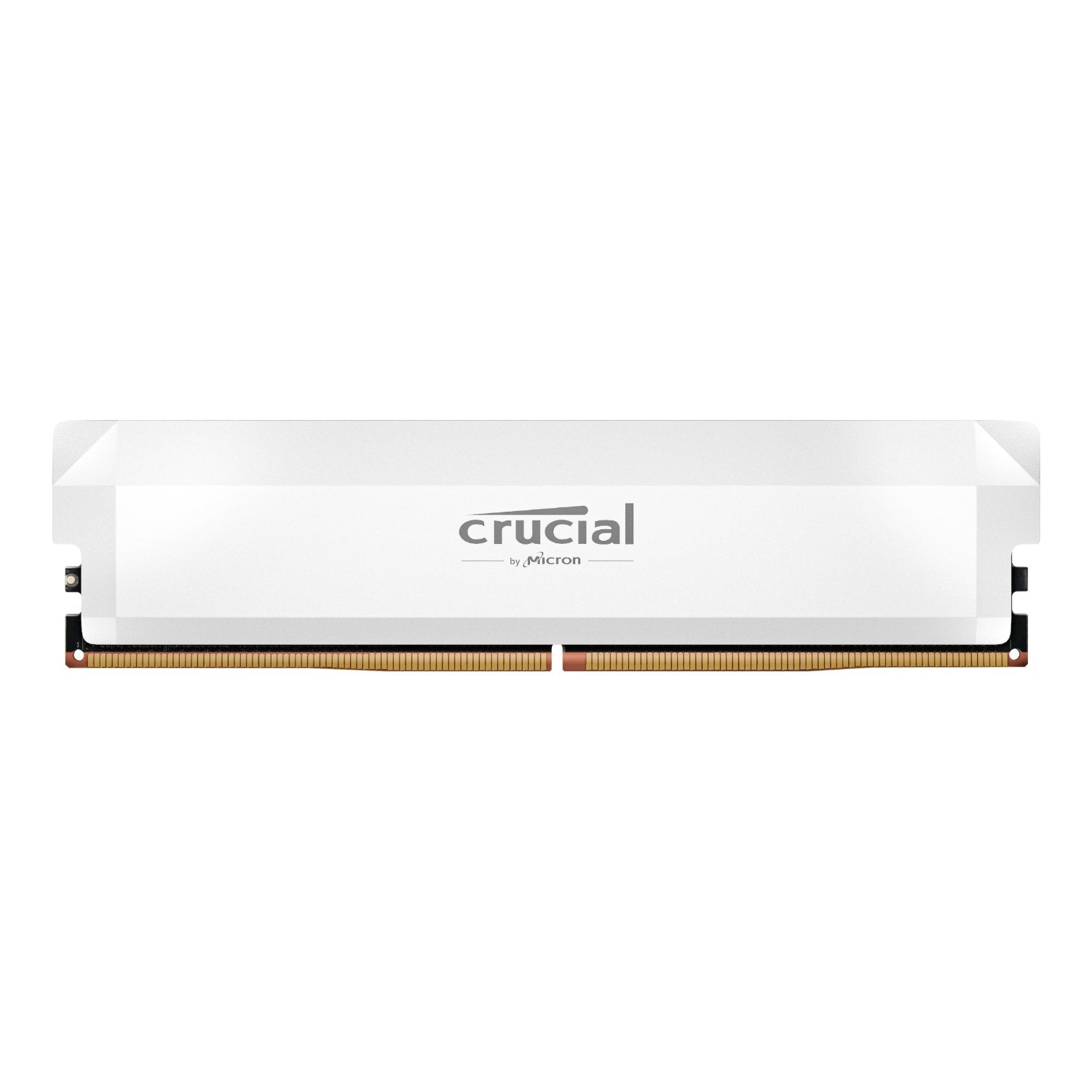https://www.syntech.co.za/wp-content/uploads/2025/02/Crucial_CP16G64C38U5W_wr_02a.jpg