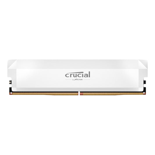 https://www.syntech.co.za/wp-content/uploads/2025/02/Crucial_CP16G64C38U5W_wr_02a.jpg